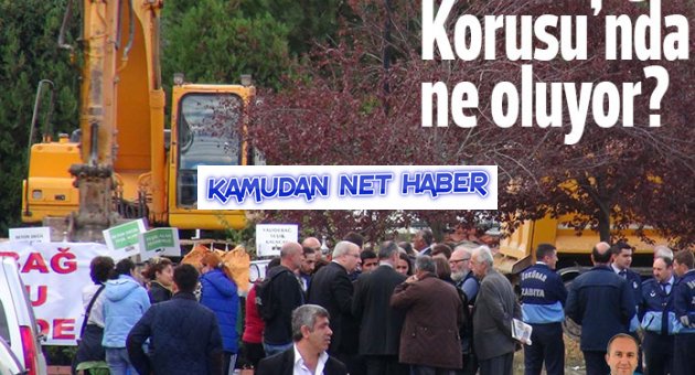 Validebağ Korusu'nda ne oluyor?