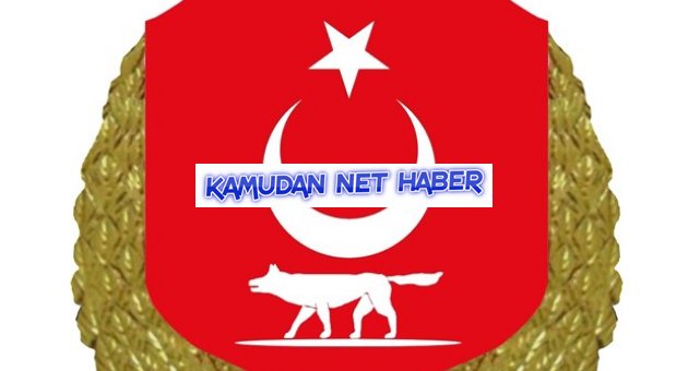 Yeni Devlet armasına Gerek yok 1927 de Belirlenen Armamızı Kullanalım