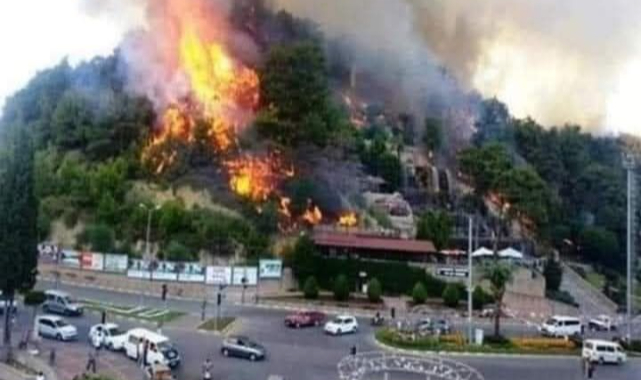 Ciğerlerimiz Yanıyor