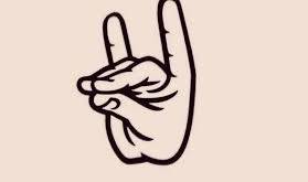 Bozkurt İşaretinin Ortaya Çıkması Hakkında